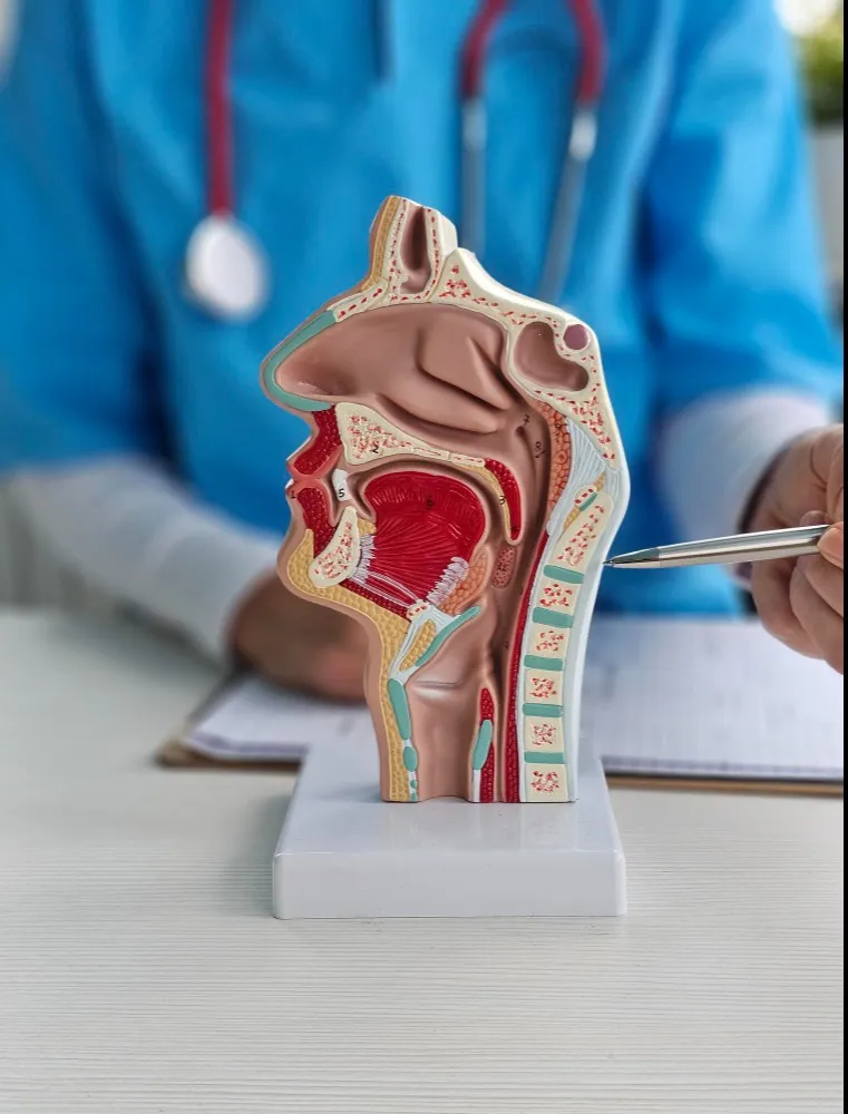 ENT Surgeon in Pune - Clear Solutions for Ear, Nose and Throat Concerns