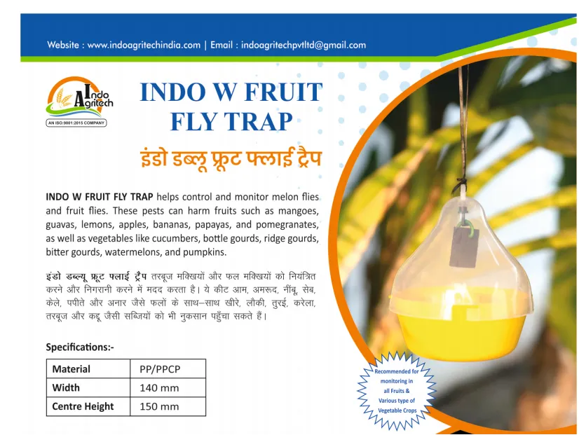INDO W FRUIT FLY TRAP