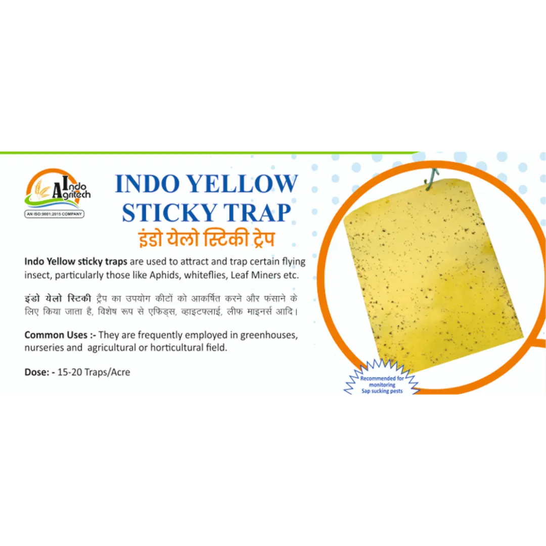 INDO YELLOW STICKY TRAP