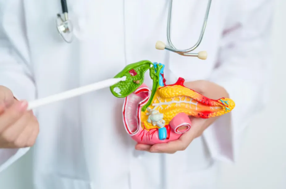 Gall Bladder Surgeon in Thergaon