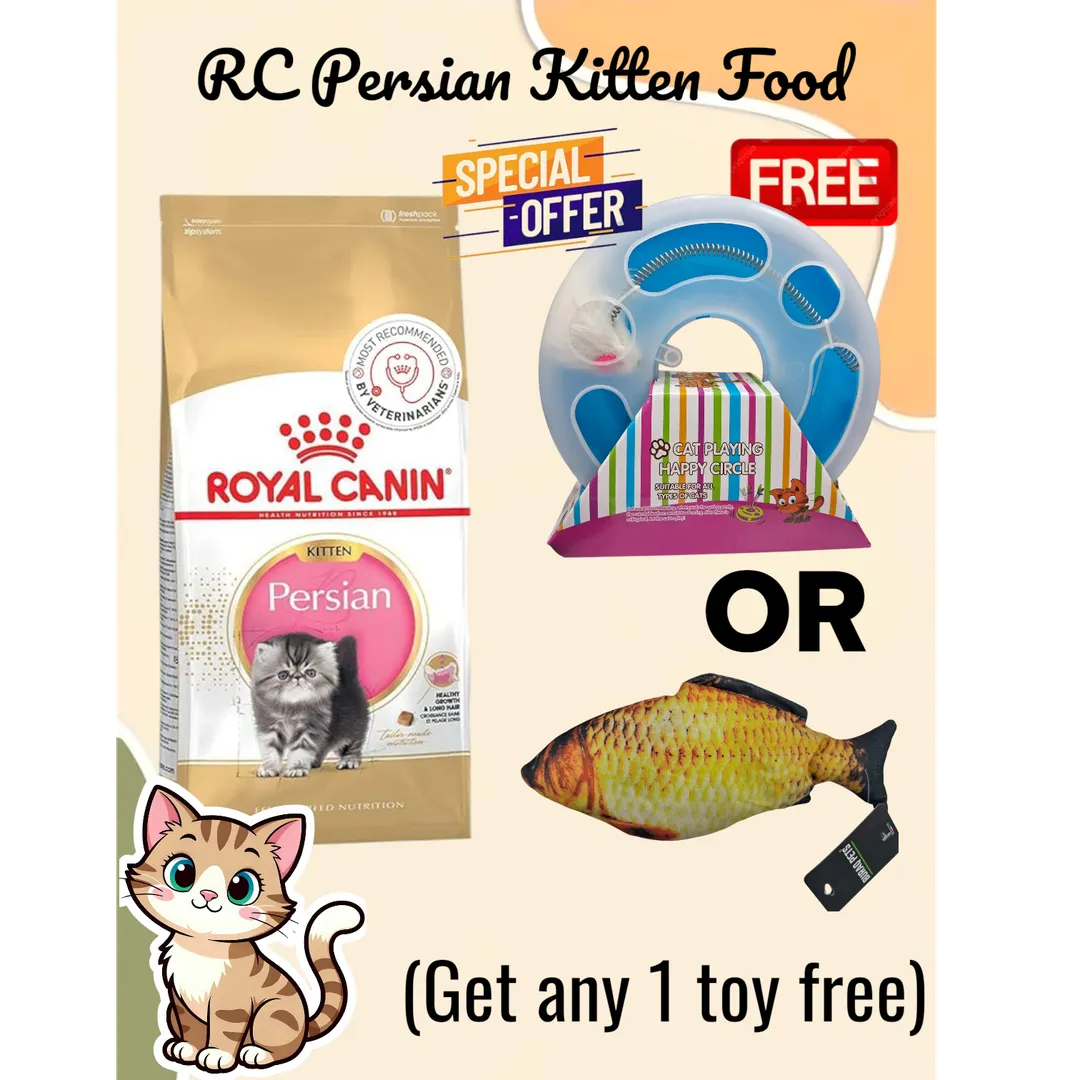 Royal Canin Persian Kitten Food, Best Offer ( Get any 1 toy free) at Borivali, Mumbai