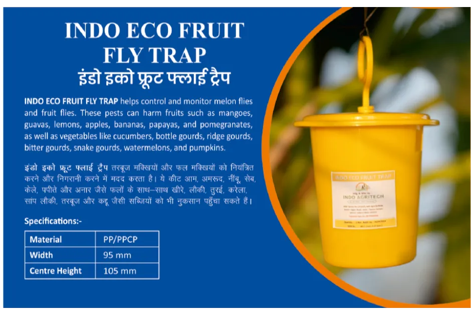 INDO ECO FRUIT FLY TRAP
