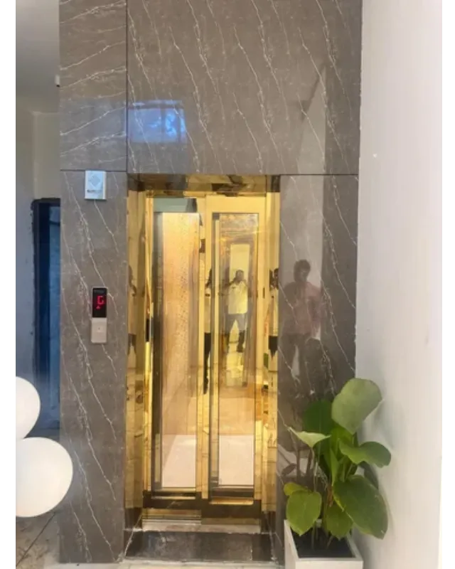 Hydraulic Home Elevator Manufacturers in Bavdhan - Comfort Without Complexity