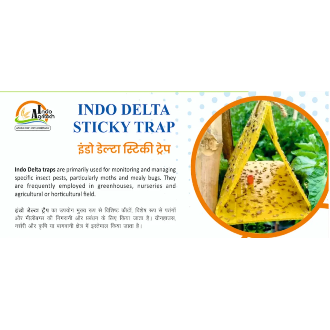 INDO DELTA STICKY TRAP