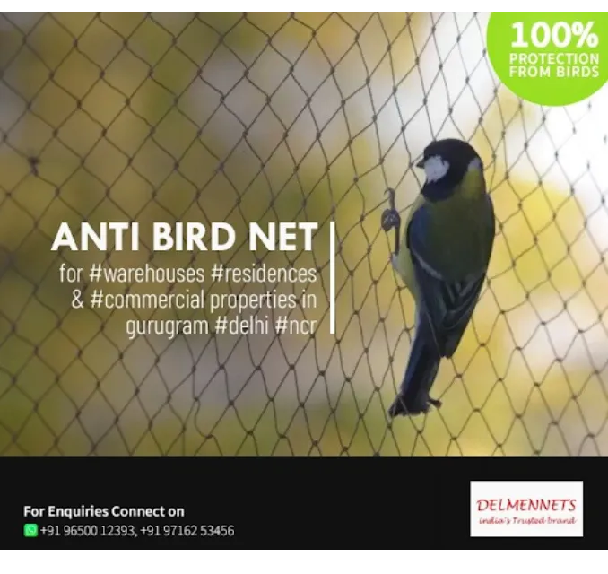 Anti Bird Net Supplier in Gurgaon - Keep Your Surroundings Clean