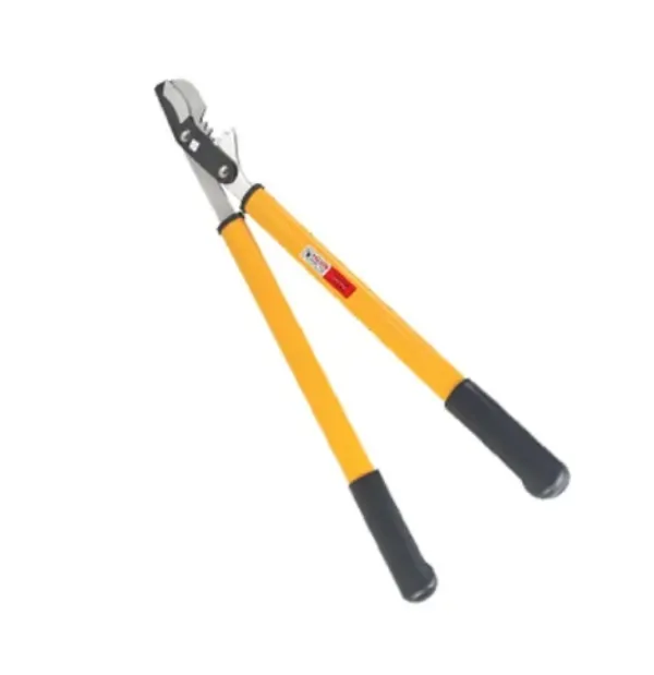Gardening Tools in Ghaziabad – For Those Who Believe Plants Deserve Care