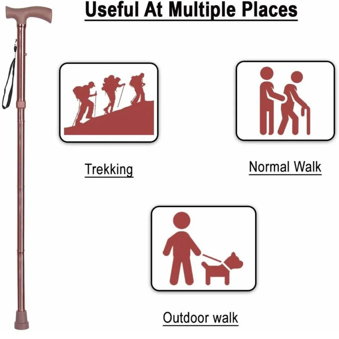Walking Stick Dealers Whitefield