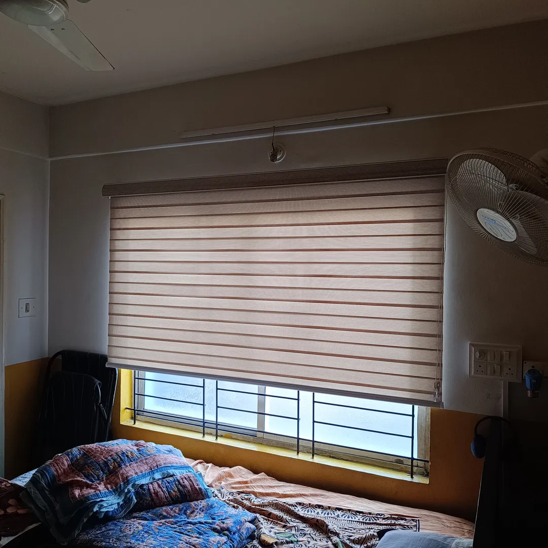 #zebrablinds