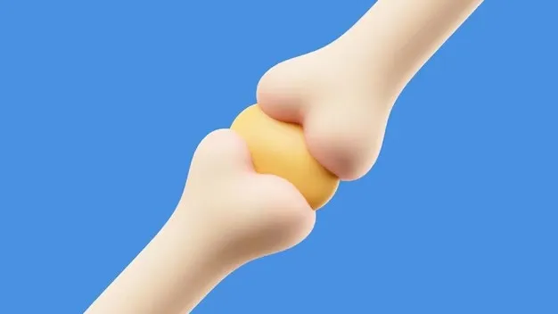 Expert Orthopedic Care in Nagpur – Trusted Treatment for Bones & Joints
