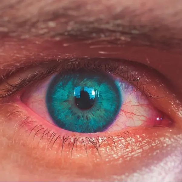 Diabetic and Hypertensive Fundus Examination in Grant Road – Caring for Eyes That Work Hard Every Da