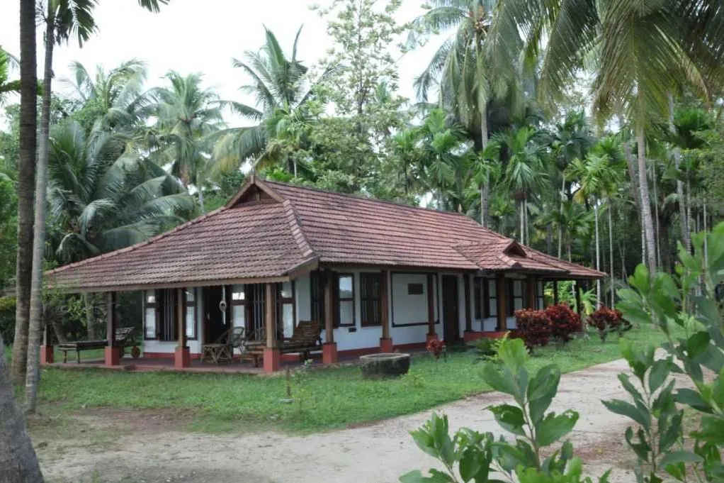 Tourist Places in Kerala
Kumbalangi
Kumbalangi Tourism
Kumbalangi is India’s first model ecotour...