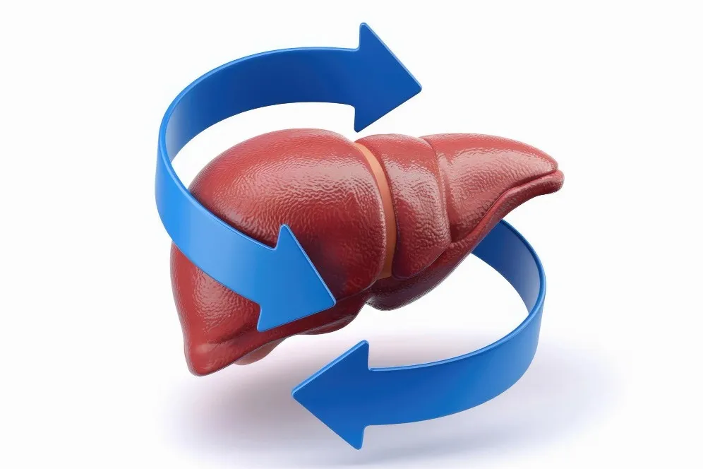Liver Function Improvement in Mumbai for Long Term Liver Health