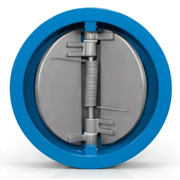 Dual Plate Non Return Valve in Mumbai - Reliable Backflow Prevention