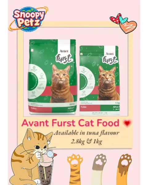 ππΎ Avant Furst Adult Cat Food, Tuna Flavour In 2.8 kg & 1kg At Andheri, Mumbai