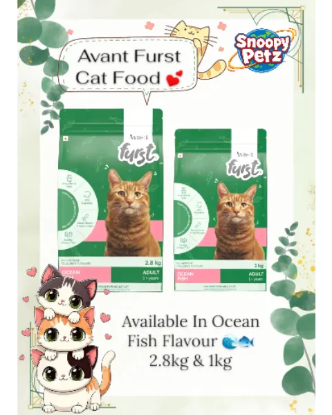 🐾 Avant Furst Adult Cat Food, Ocean Fish Flavour In 2.8kg & 1kg At Vile Parle, Mumbai