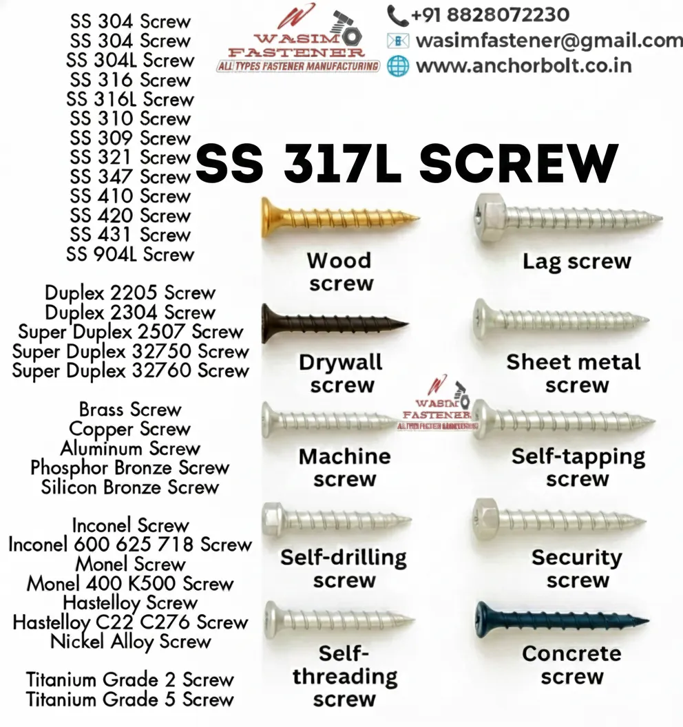 SS 317L Screw