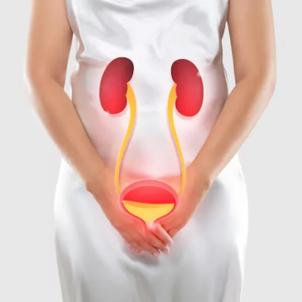 Urinary Diseases Treatment in Thane – Comprehensive Care for Your Urinary Health