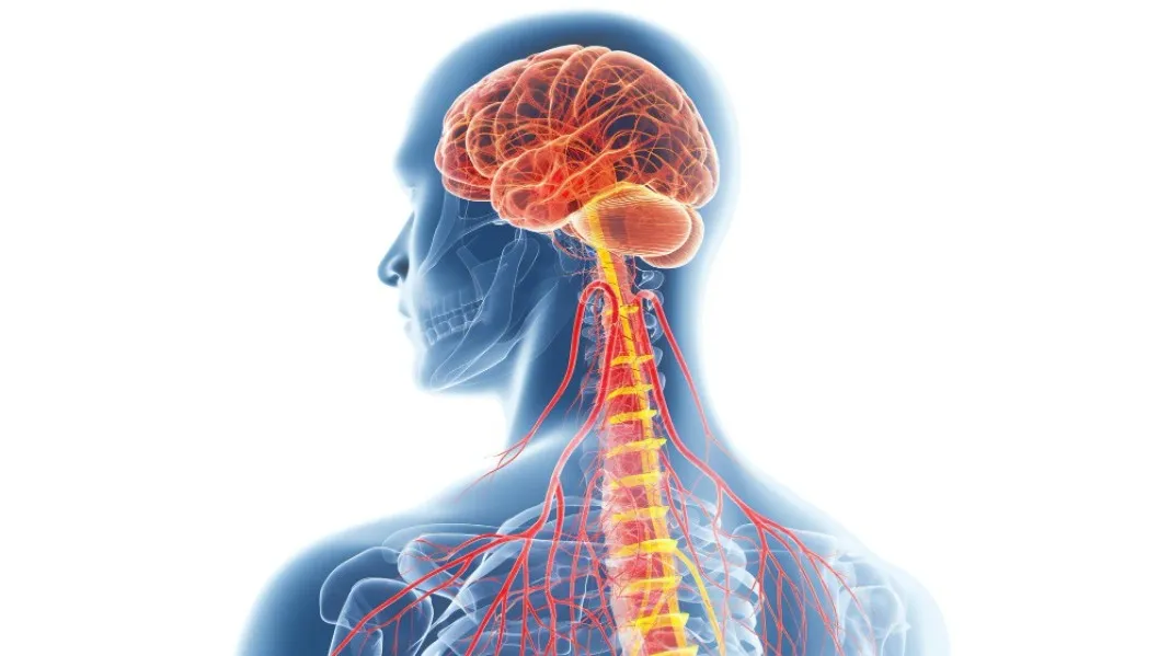 Brain and Spine Surgeon Pune Delivering Precision-Focused Neurosurgical Care