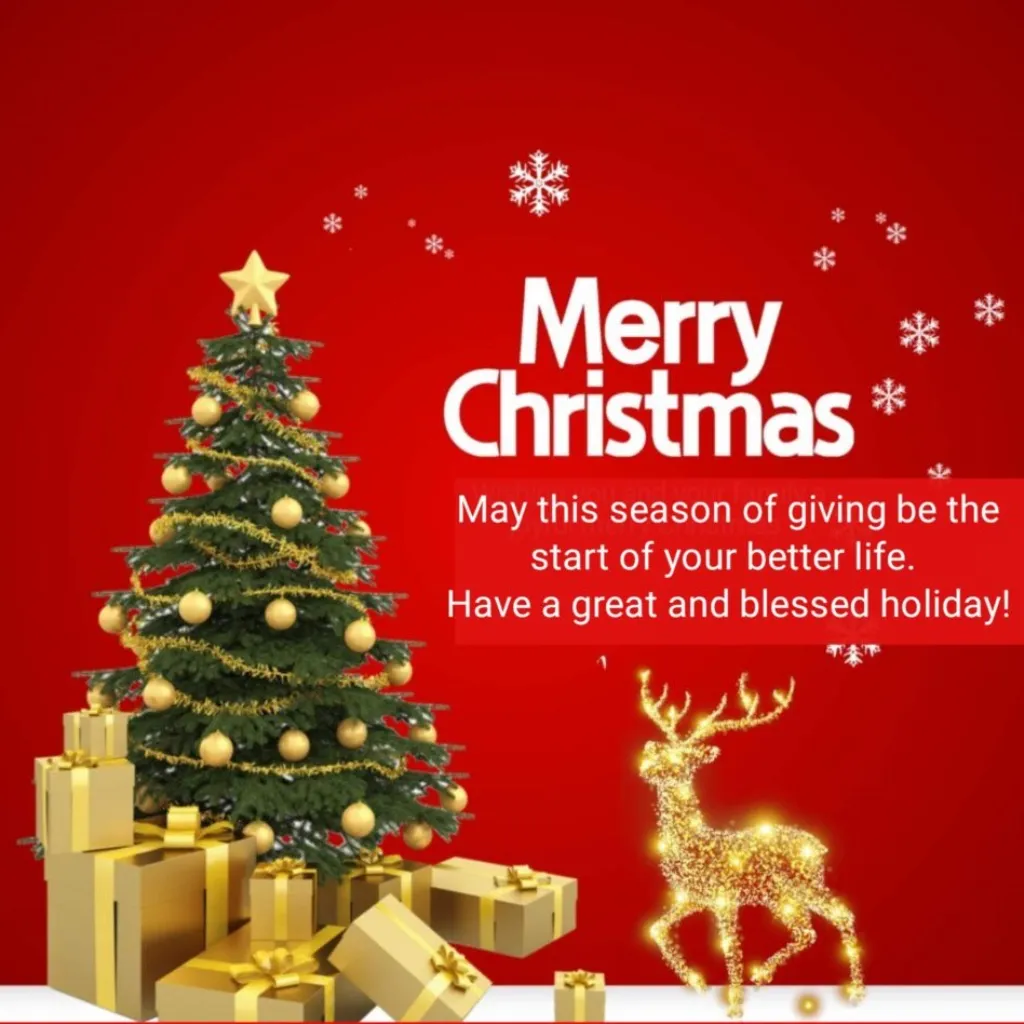 πβ¨ Merry Christmas from Kalloes Skin Clinic, Thane! β¨π