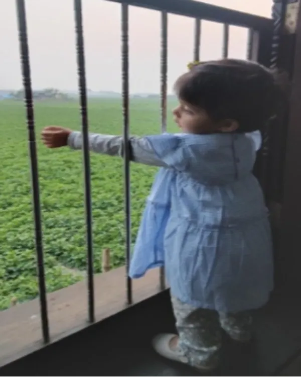 Child Safety Grill in Nagpur for Secure and Stress-Free Homes