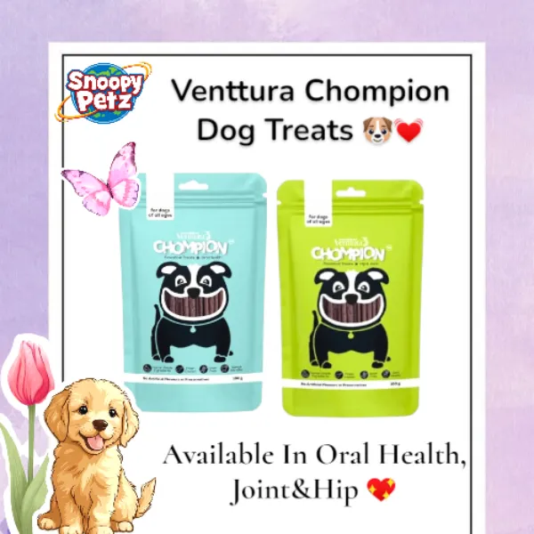 🐕🦺✨ Venttura Chompion Dog Treats At Jogeshwari, Mumbai - Everyday treats, extraordinary joy 🐾✨