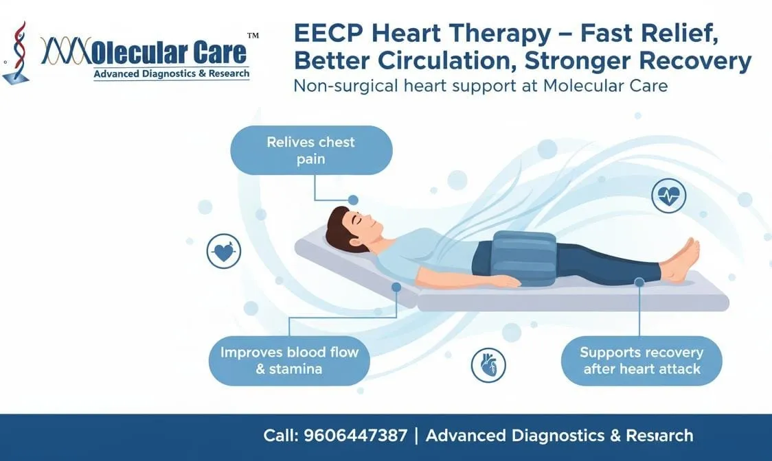 EECP Heart Therapy in Mysore | Non-Surgical Heart Care at Molecular Care