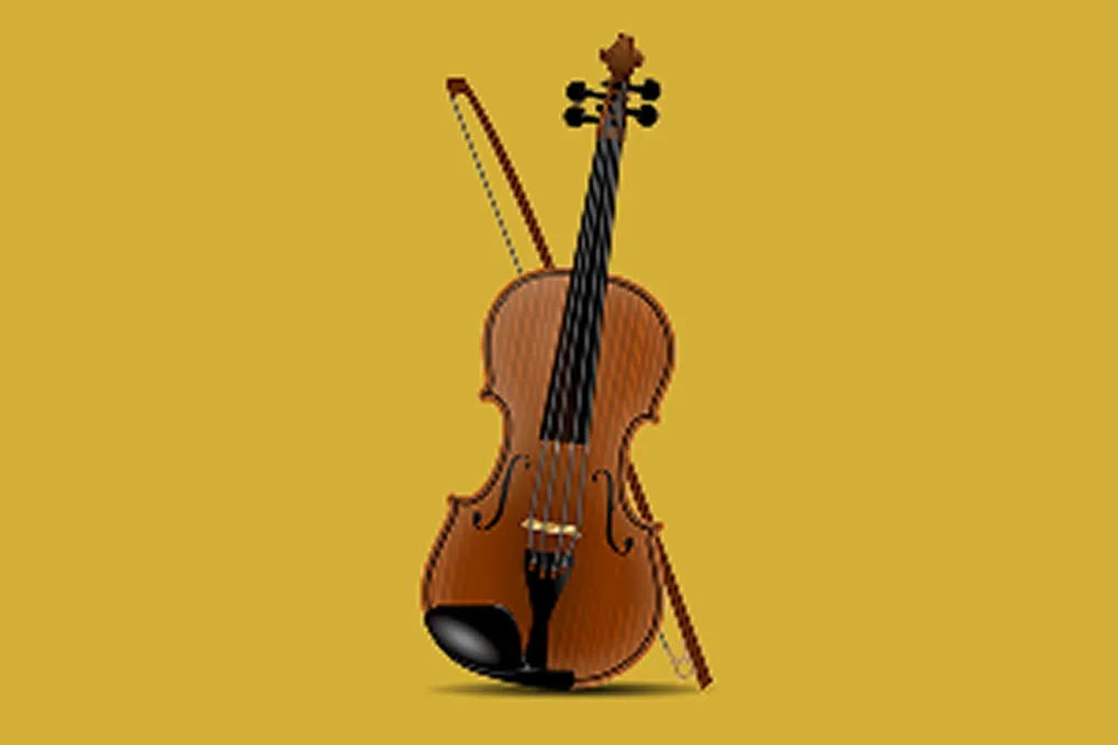 Violin classes in Basavanagudi