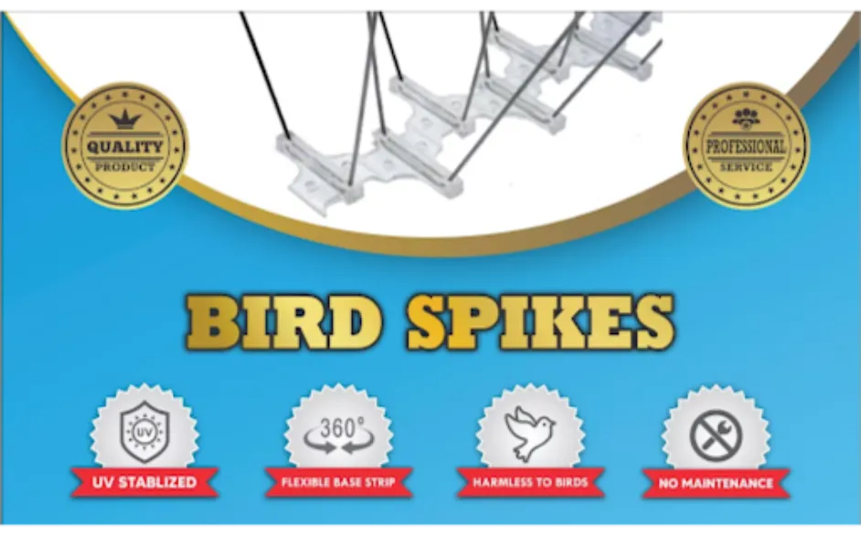 Bird Spikes in Nagpur for Effective and Humane Bird Control