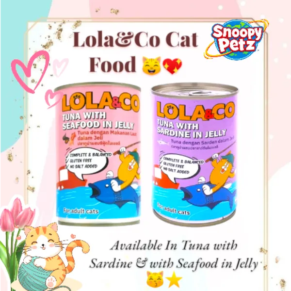 😺🐾Lola & Co Cat Food At Kandivali, Mumbai -- 💝Pure taste, perfect nutrition🐾