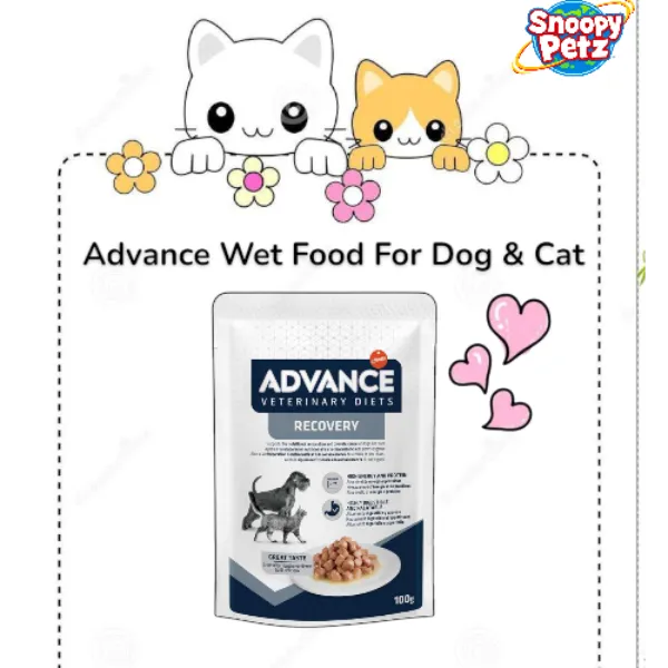 ๐ถ๐ฑAdvance Vet Canine And Feline Recovery Pouch At Virar, Mumbai -- Gentle nutrition, strong rest