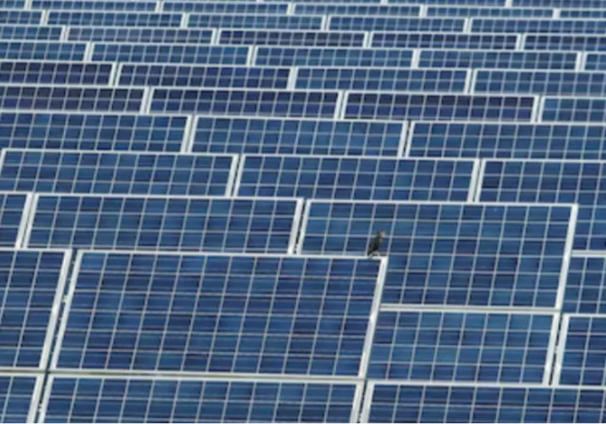 Solar Panels in Nagpur – The Foundation of Long-Term Energy Savings