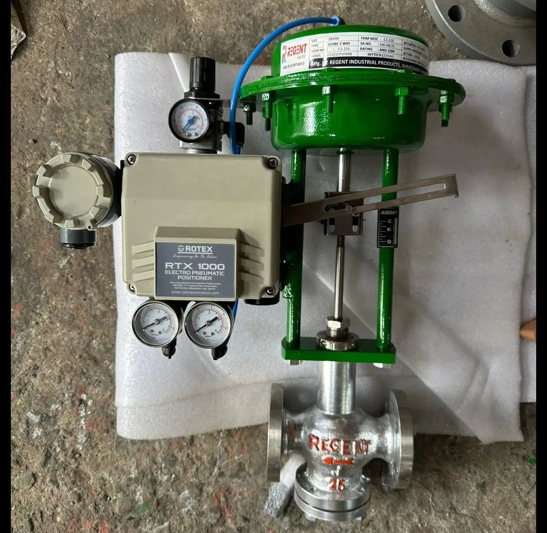 Boost Process Precision with Rotex Electropneumatic Valve Positioners