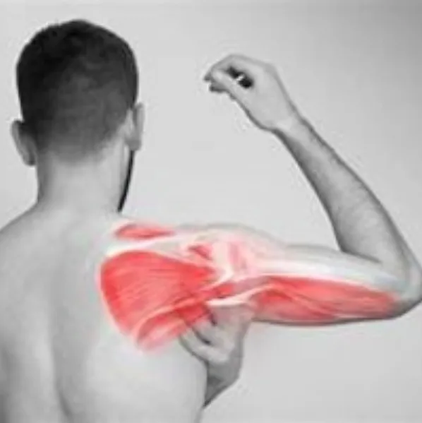 Muscle Pain: The Most Common Pain We Ignore — and the One That Can Be Treated
Muscle pain is one of ...