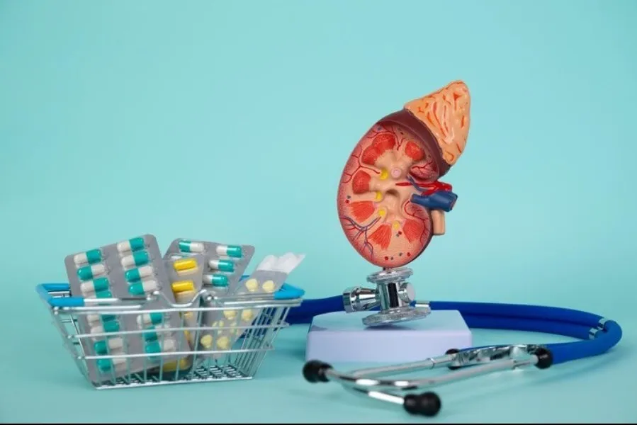 Nephrology Drugs in Pune – Essential Support for Kidney Health