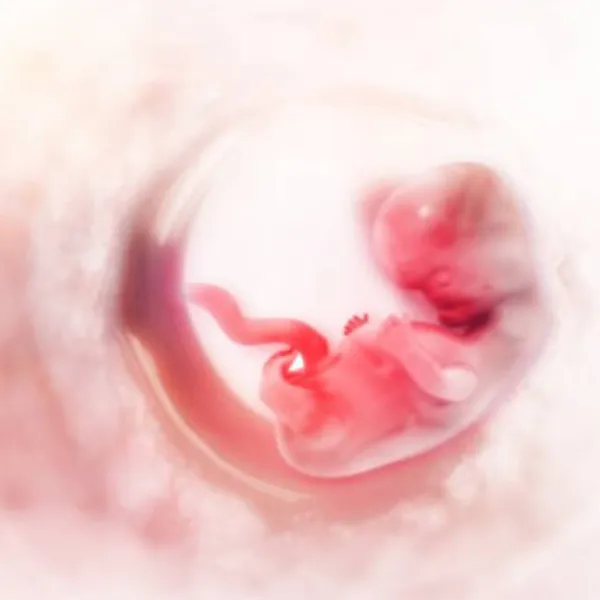 Fertility specialist in Parel: guiding hopeful parents toward conception
