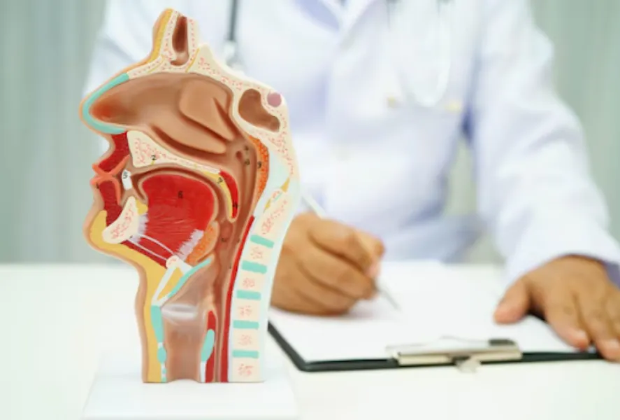 ENT Specialist in Pune – Breathing, Hearing, and Throat Care