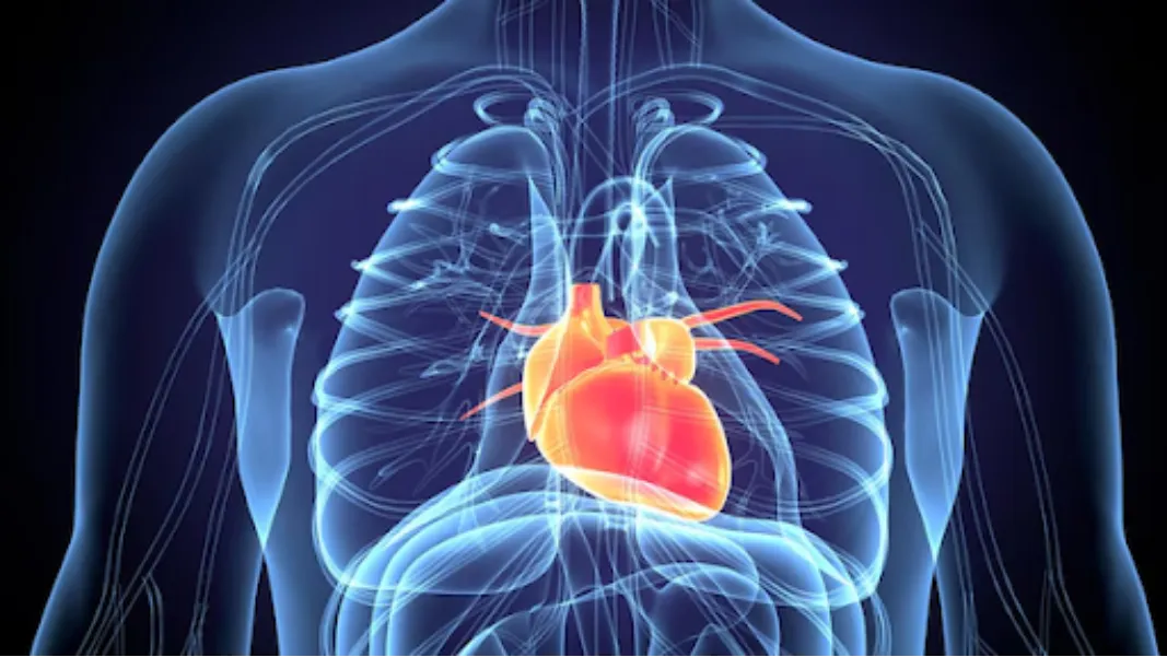 Cardiothoracic surgeons in Pune - complete heart and chest care