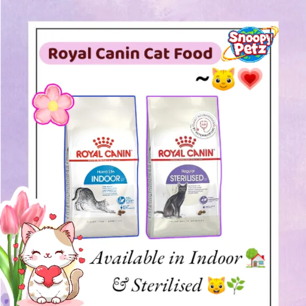 โจ๐ป Royal Canin Cat Dry Food at Jogeshwari, Mumbai -- Highly Digestible & Tasty Formula๐พ๐บ