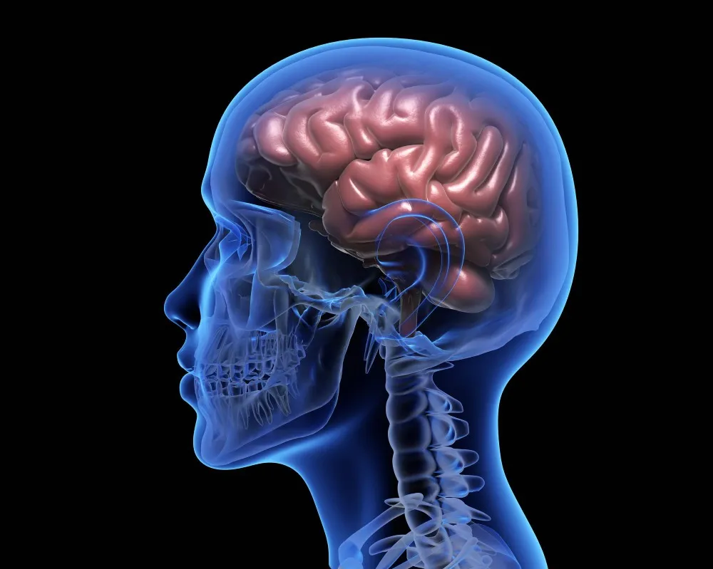 Brain and Spine Treatment Pune Focused on Accurate Diagnosis and Lasting Relief