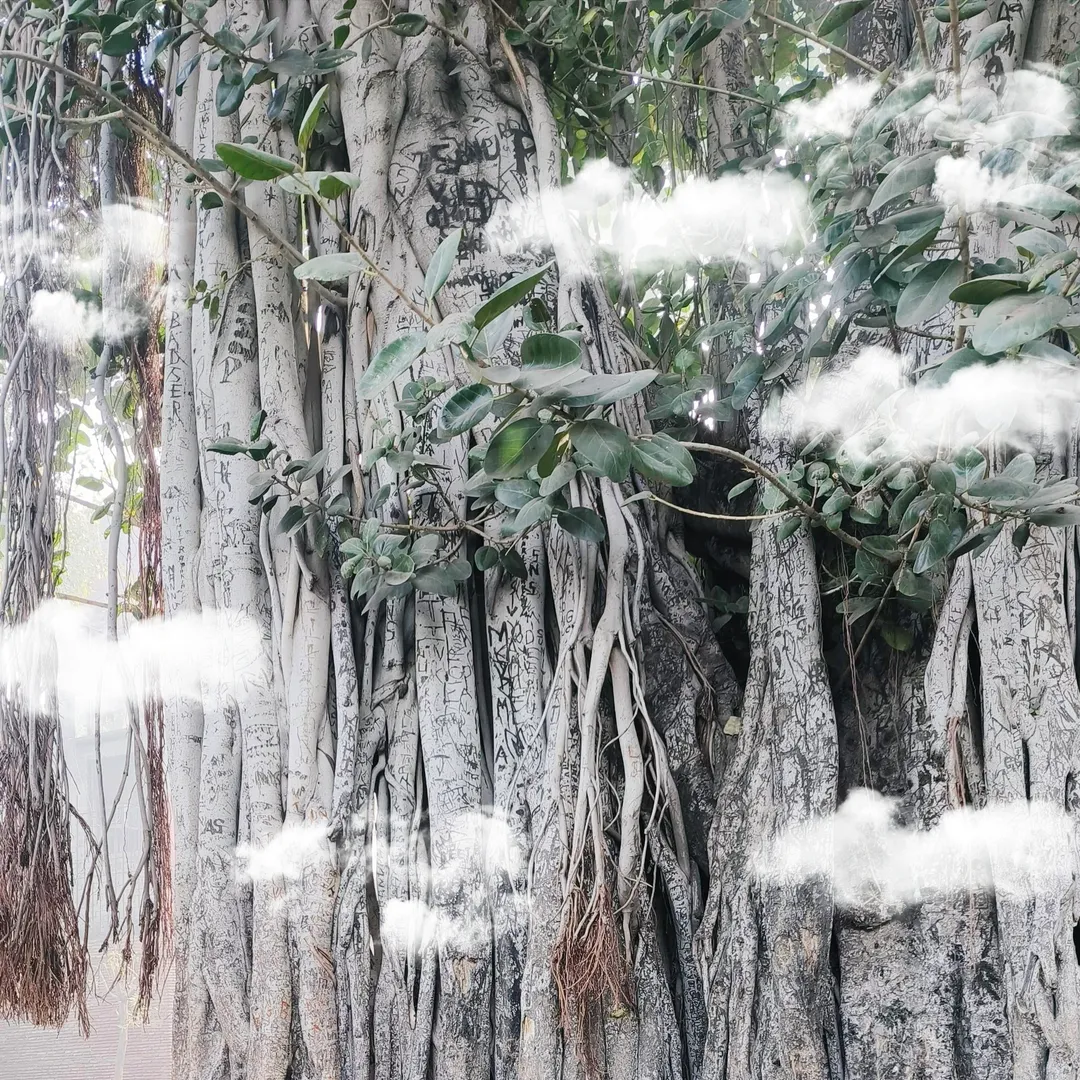 Winter Skin Care Tips