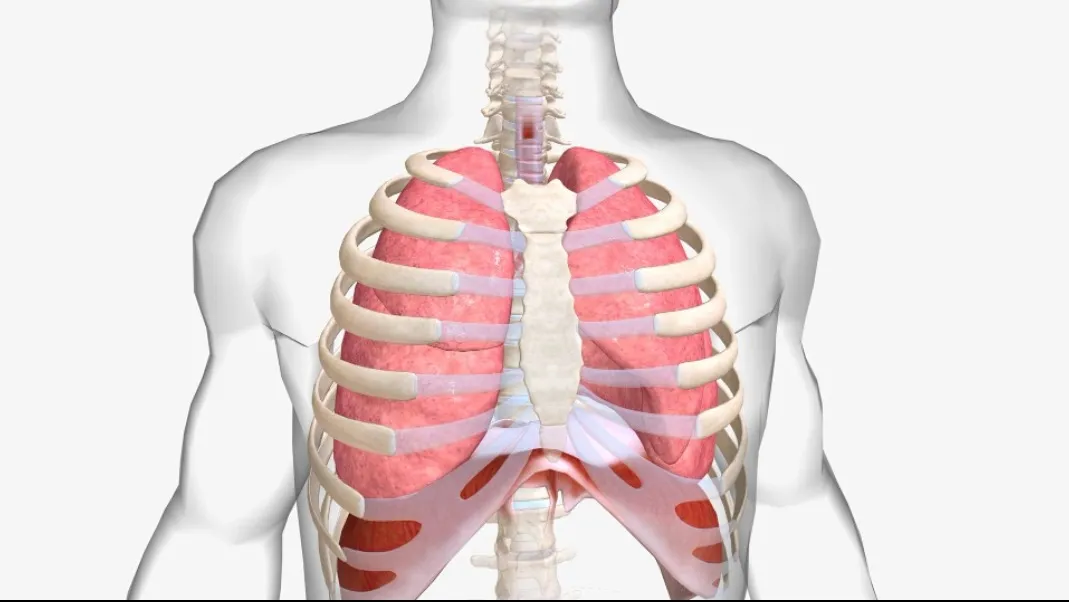 Thoracic surgeon in Pune - advanced lung and chest surgery services