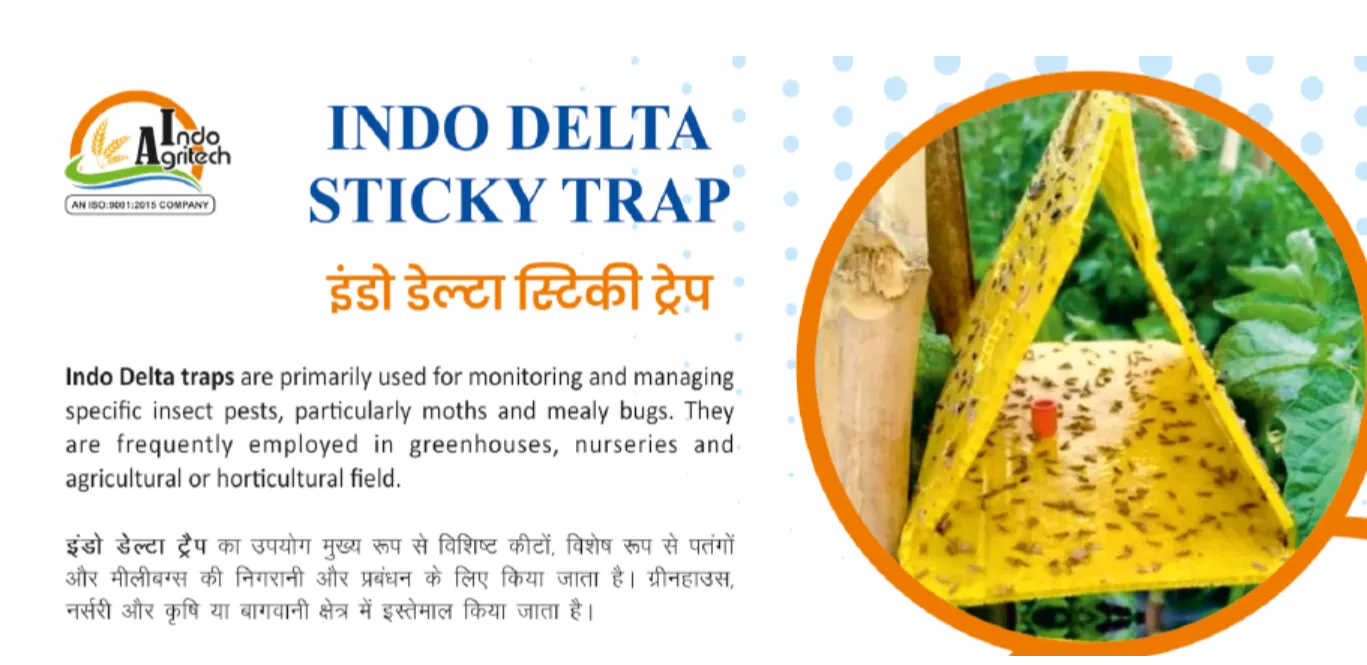 INDO DELTA STICKY TRAP
