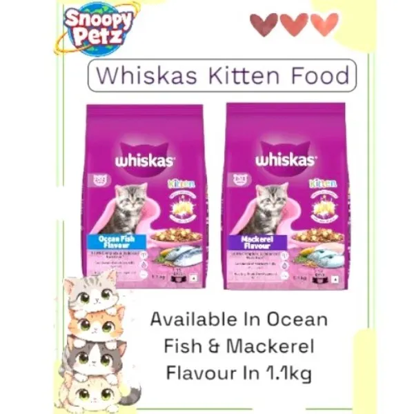 š¾āØ Whiskas Kitten Food at Kandivali, Mumbai -- Crunchy, tasty bites for growing kittens āļø