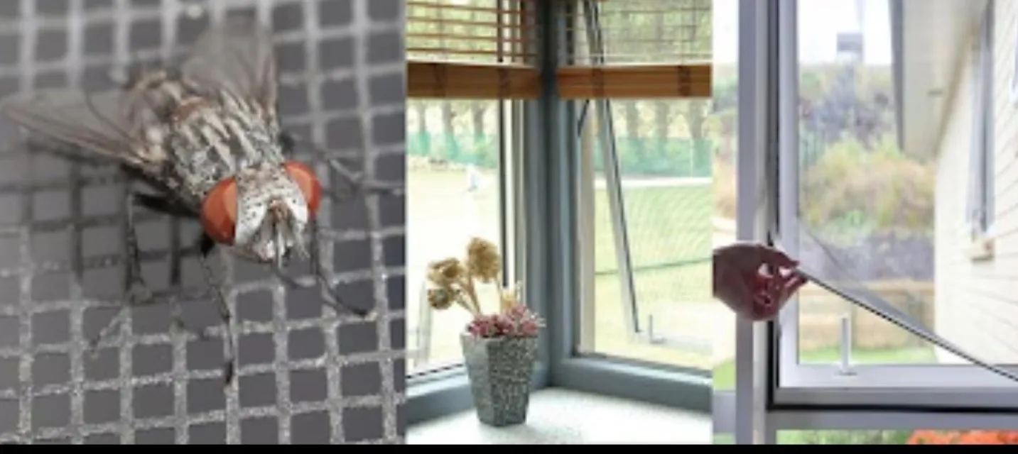 Insect Screens System Manufacturer in Gurgaon Practical Indoor Protection