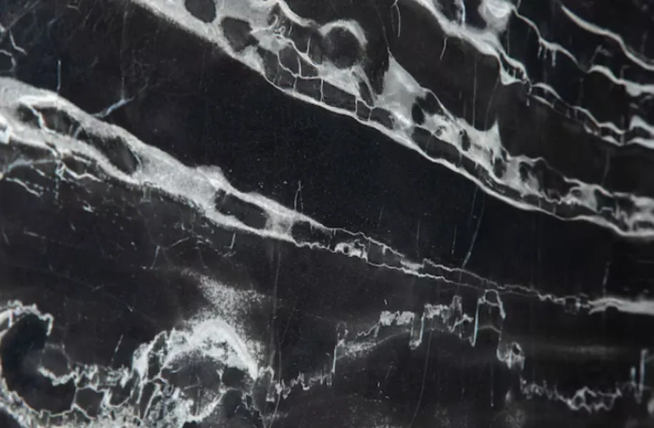 Black Panther Marble in Bhosari | Bold Designer Surfaces