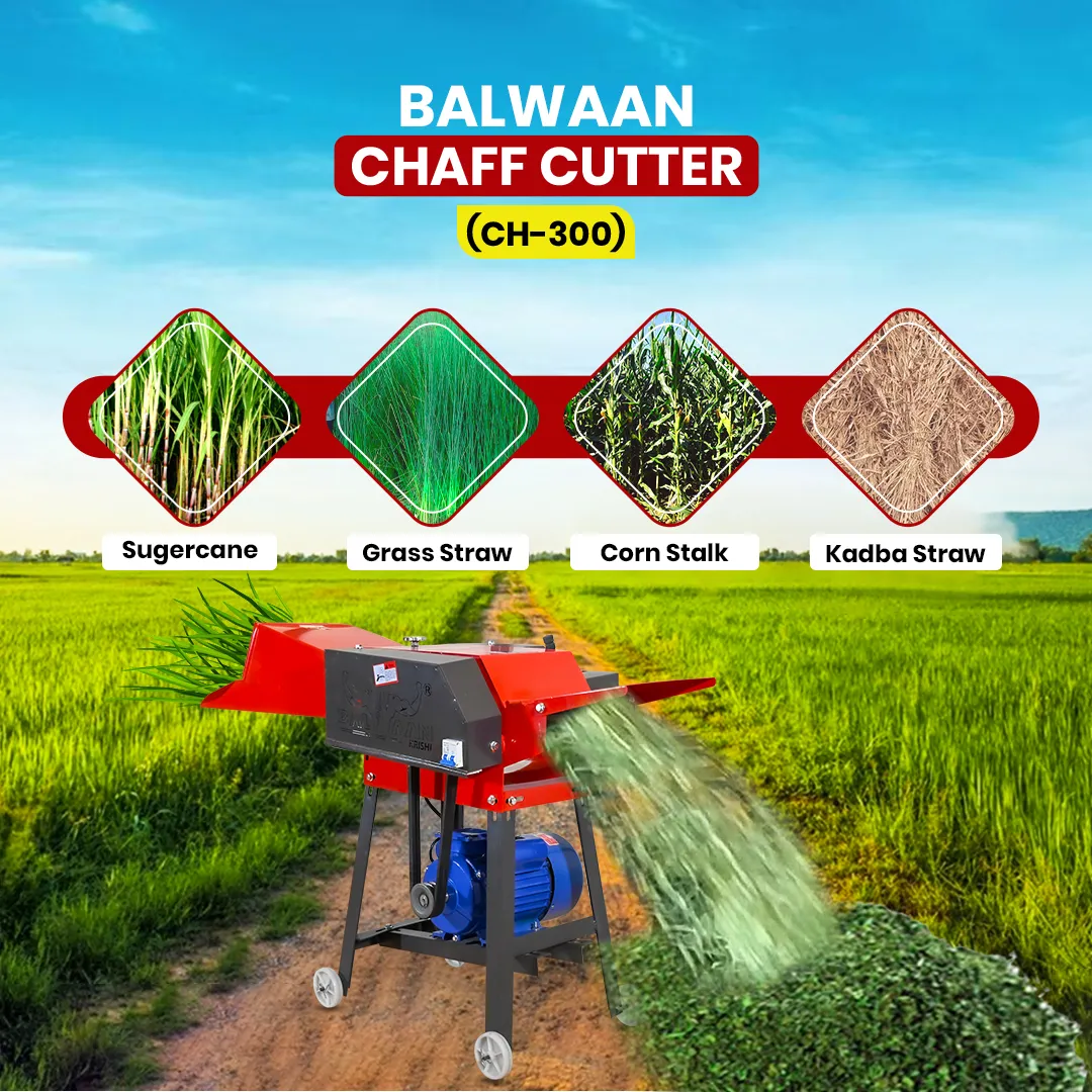 Chaff Cutter in Vadodara