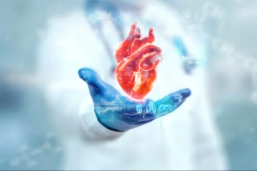 Best Cardiologist Near Me in Bangalore for Personalised Heart Care