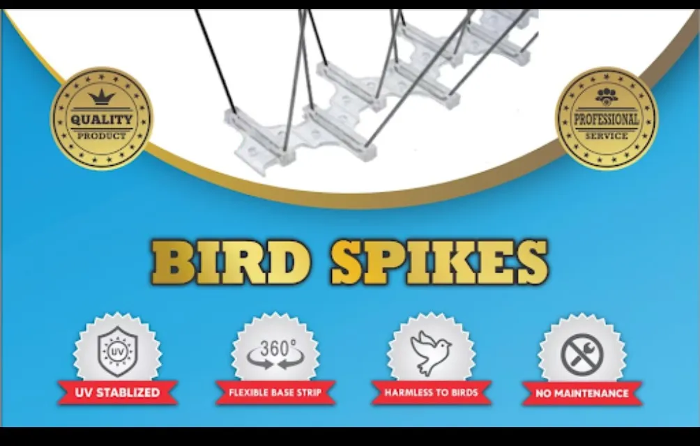 Bird Spikes in Nagpur for Long-Term Building Protection