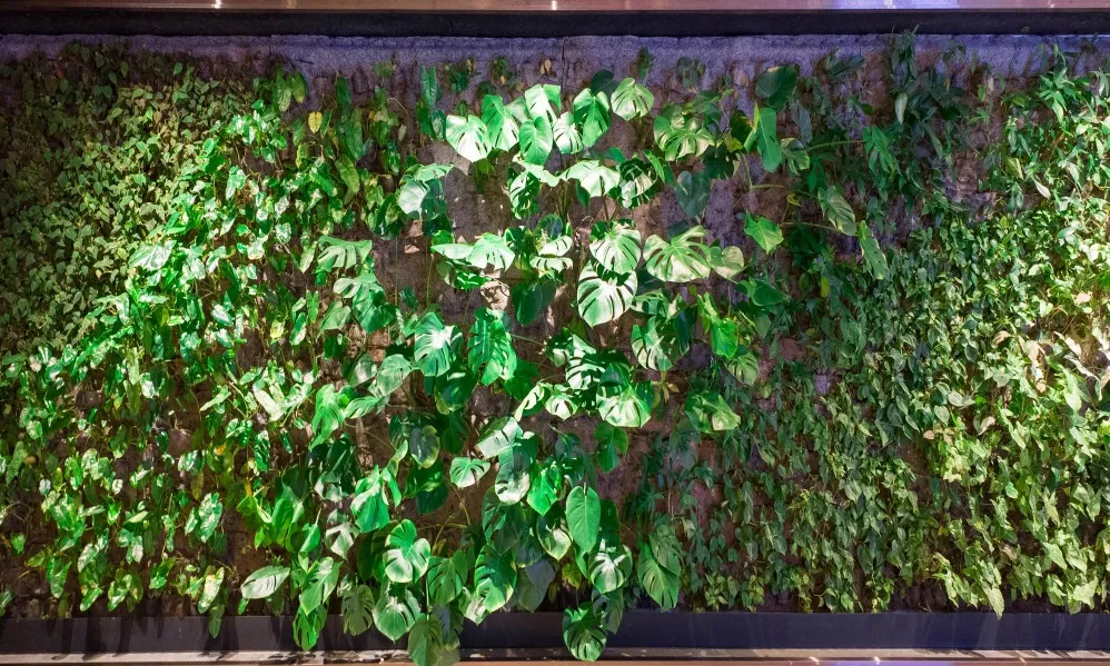 Vertical Gardens in Thane – Bringing Nature Into Your Home