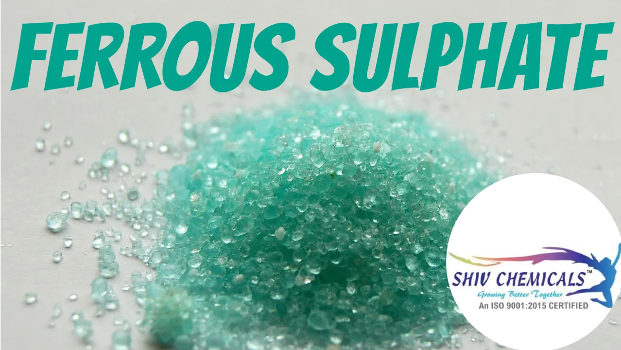 Ferrous Sulphate Exporter in Surat